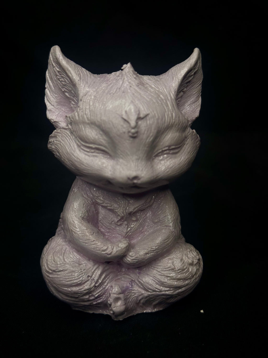 Gato Zen Meditando