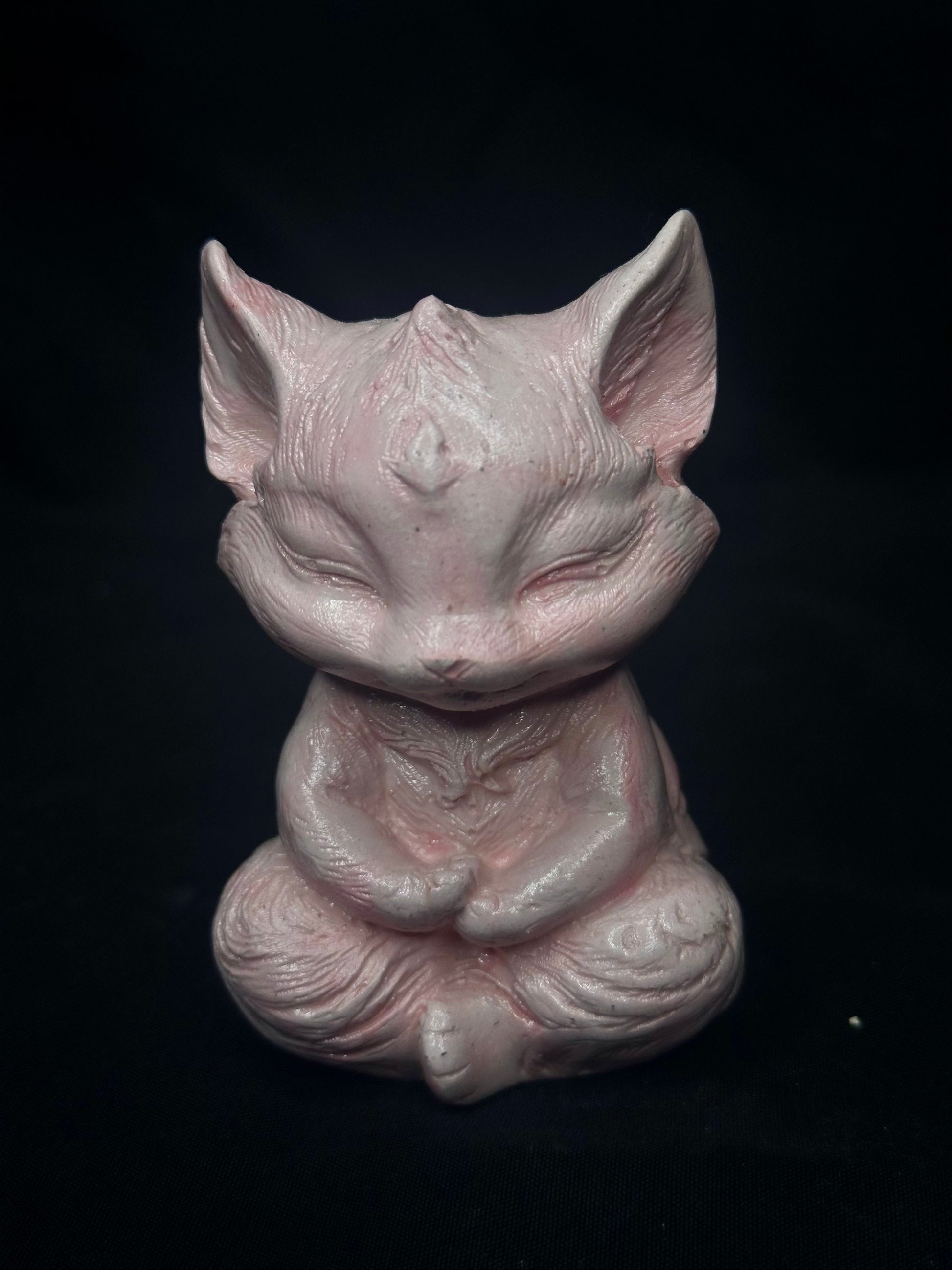 Gato Zen Meditando