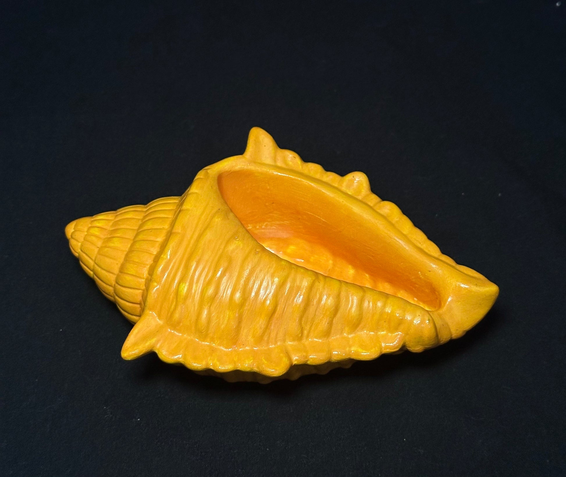 Caracola Camel