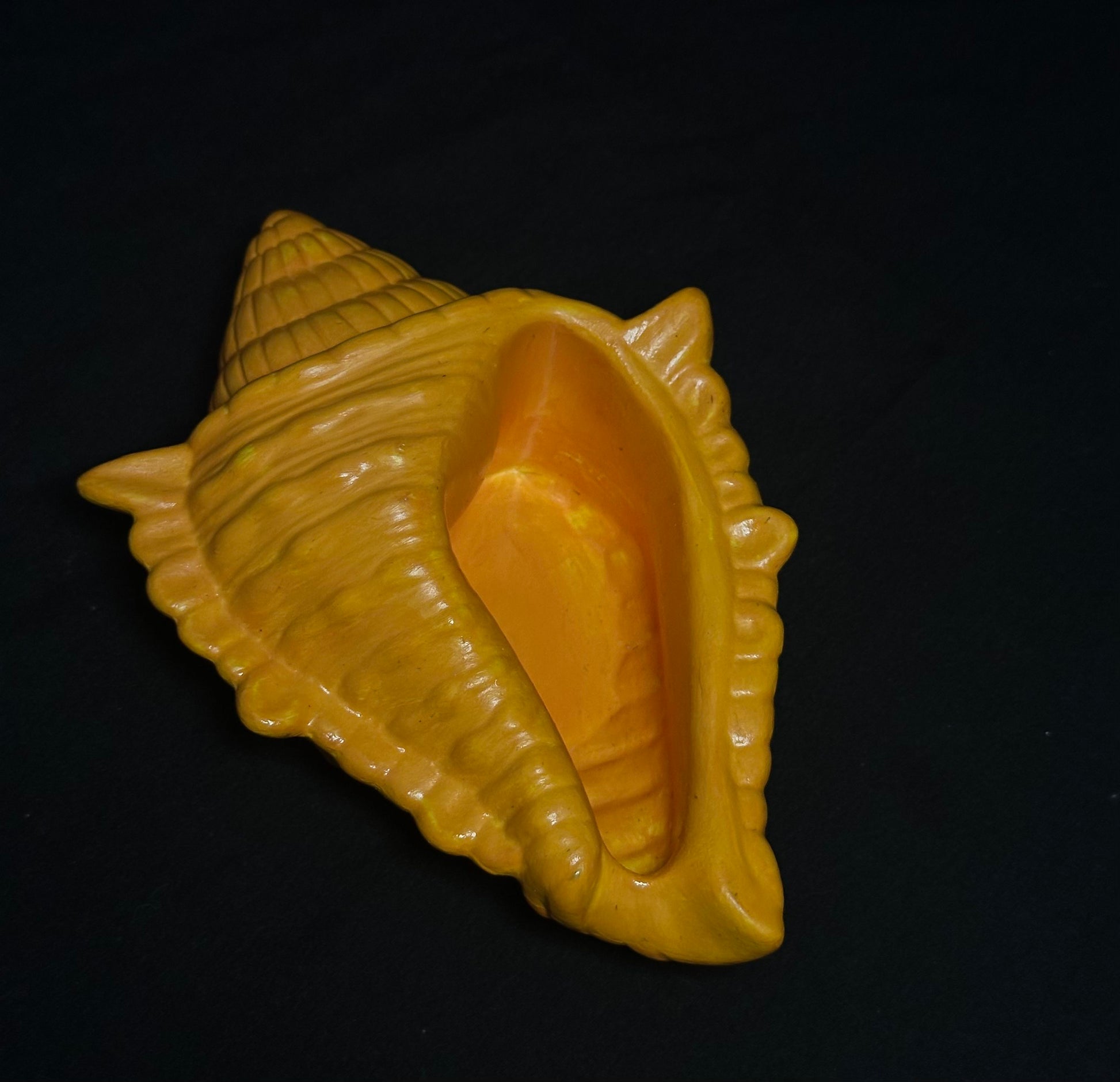 Caracola Camel